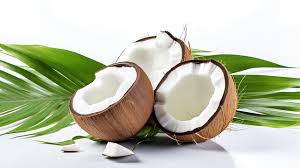 নারিকেল (1 pic) - Image 3